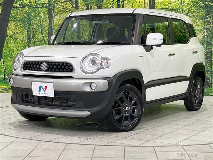 2019 Suzuki Suzuki Others