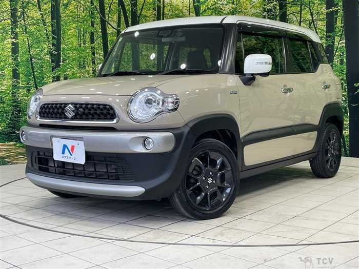2019 Suzuki Suzuki Others