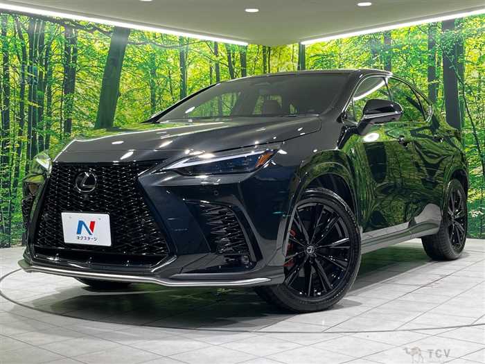 2025 Lexus NX