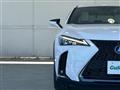 2021 Lexus UX