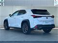 2021 Lexus UX