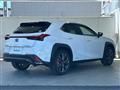 2021 Lexus UX