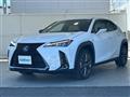 2021 Lexus UX