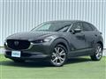 2023 Mazda CX-3