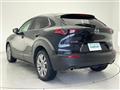 2021 Mazda CX-3
