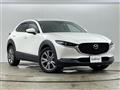 2020 Mazda CX-3