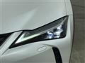 2019 Lexus UX