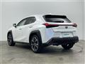 2019 Lexus UX