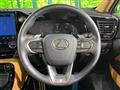 2025 Lexus NX
