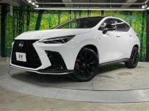 2025 Lexus NX