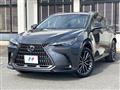 2025 Lexus NX