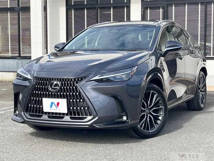 2025 Lexus NX