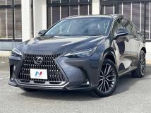 2025 Lexus NX