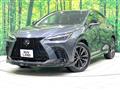 2022 Lexus NX