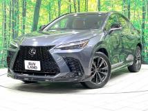 2022 Lexus NX