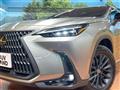 2025 Lexus NX