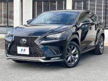 2019 Lexus NX