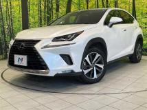 2020 Lexus NX