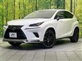 2021 Lexus NX