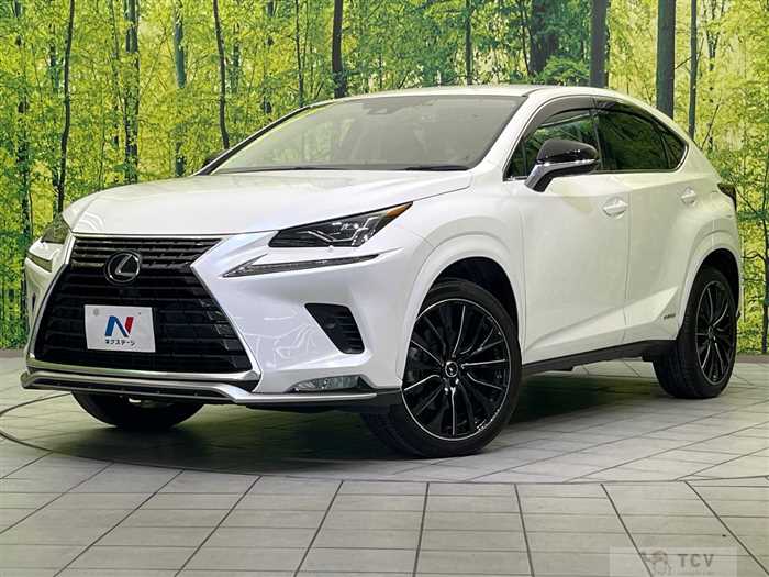 2021 Lexus NX