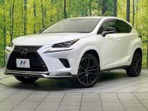 2021 Lexus NX