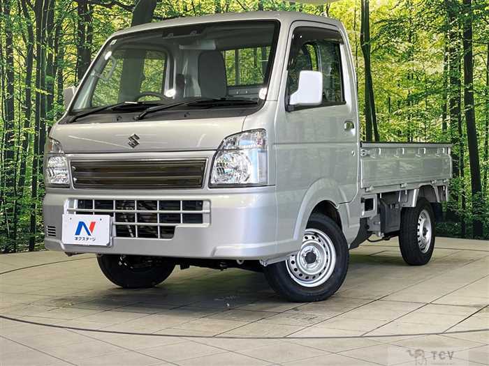2020 Suzuki Carry Truck