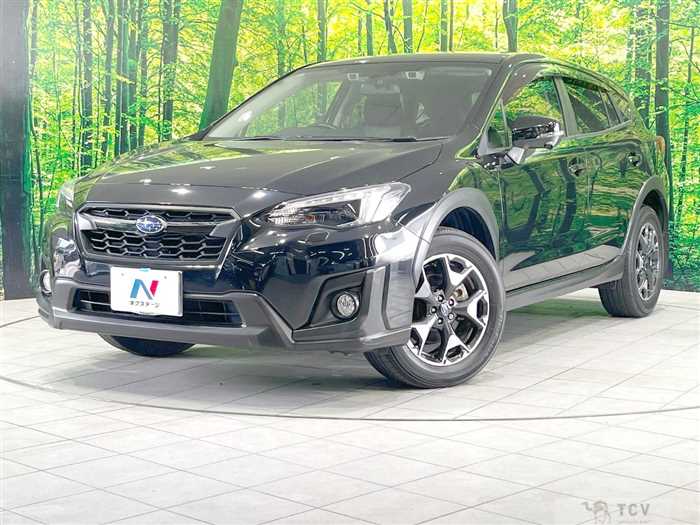 2019 Subaru Subaru Others