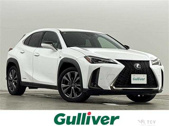 2019 Lexus UX