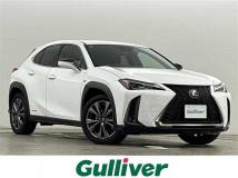 2019 Lexus UX