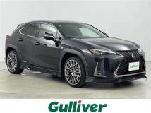 2020 Lexus UX