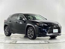 2021 Lexus UX