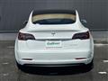 2021 Tesla Motors Others