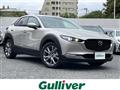 2022 Mazda CX-3