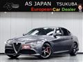 2020 Alfa Romeo Alfa Romeo Others