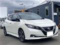 2017 Nissan Nissan Others