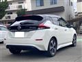 2017 Nissan Nissan Others