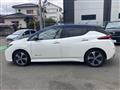 2017 Nissan Nissan Others