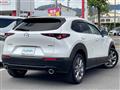 2022 Mazda CX-3