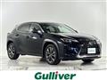 2021 Lexus UX