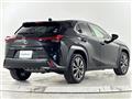 2021 Lexus UX