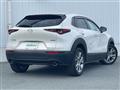 2022 Mazda CX-3