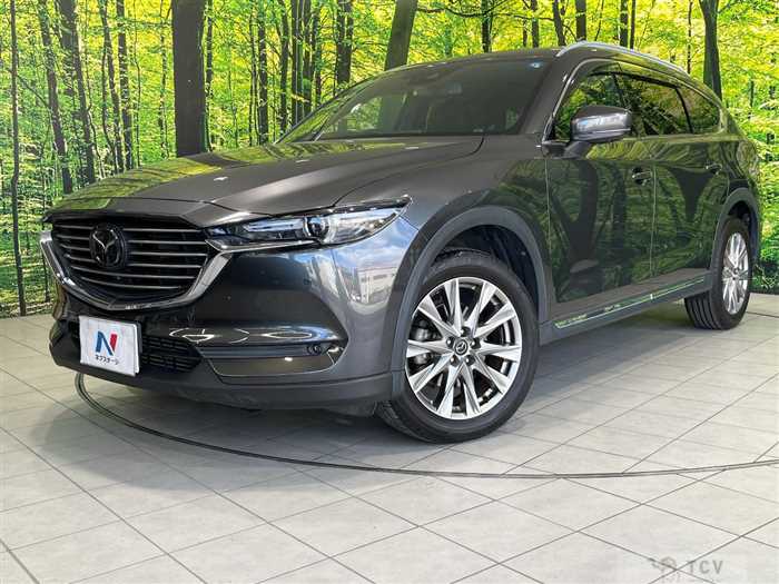 2018 Mazda CX-8
