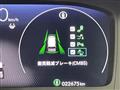 2025 Honda Step WGN