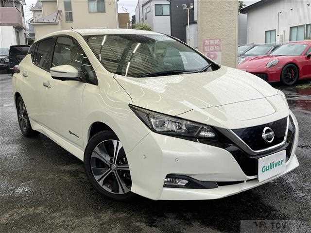 2017 Nissan Leaf