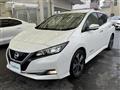 2017 Nissan Leaf