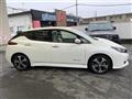 2017 Nissan Leaf