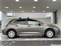 2019 Toyota Corolla Sports