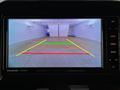 2019 Suzuki XBEE