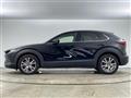 2021 Mazda CX-3