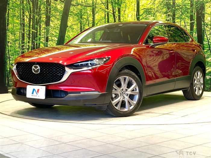 2019 Mazda Mazda Others